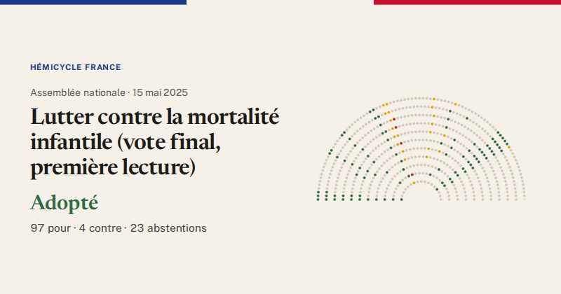 Hémicycle : répartition des votes siège par siège